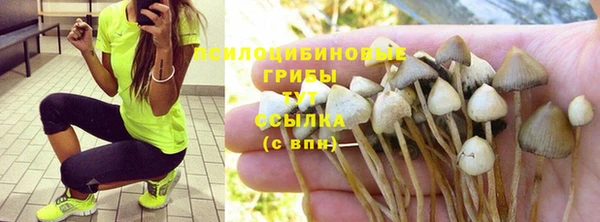 apvp Балахна