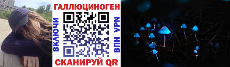 Галлюциногенные грибы GOLDEN TEACHER KRAKEN онион Курильск магазин наркотиков